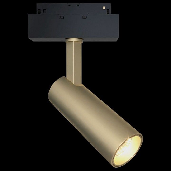 Светильник на штанге Maytoni Technical Фокус TR019-2-10W4K-MG