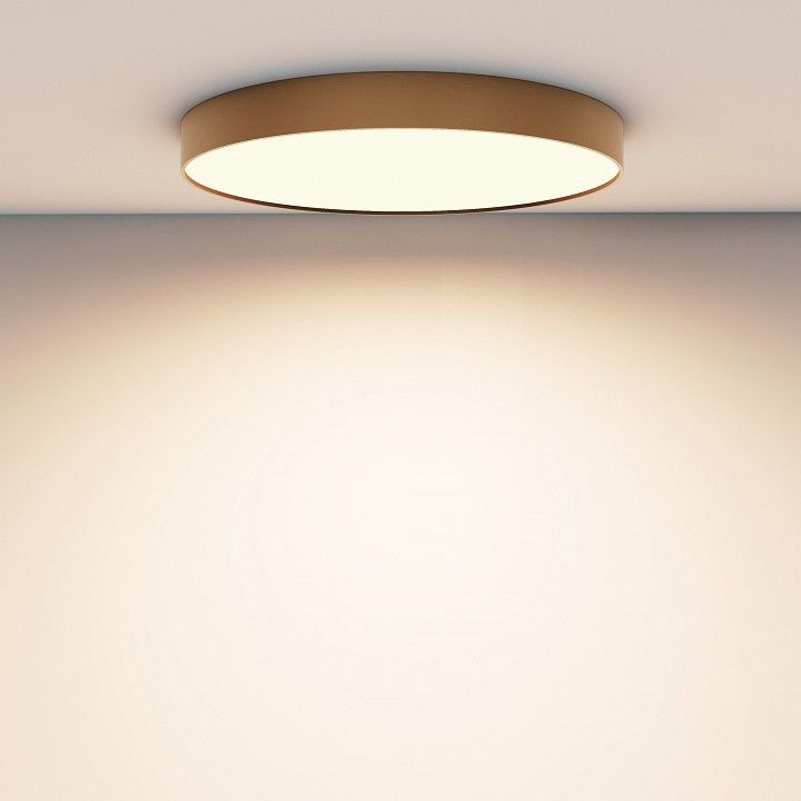 Накладной светильник Maytoni Technical Зон C032CL-90W3K-RD-MG