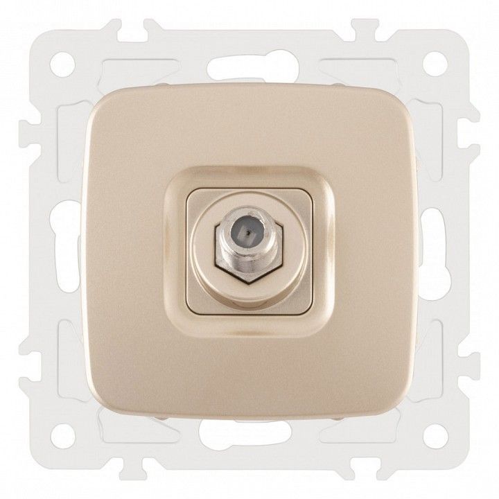 ТВ-розетка без рамки Arte Milano am-205 205.42-1.shampan