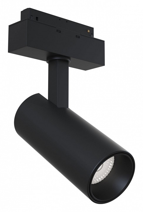 Светильник на штанге Maytoni Technical Focus LED TR019-2-15W4K-B