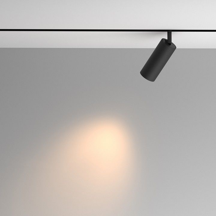 Светильник на штанге Maytoni Technical Мастер TR097-2-12W3K-M-BB