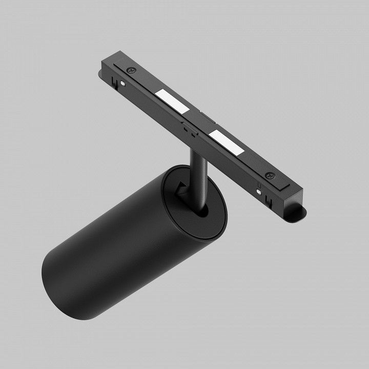 Светильник на штанге Maytoni Technical Фокус TR032-2-20W2.7K-M-B