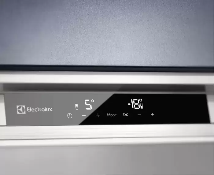 Встраиваемый холодильник Electrolux RNS9TE19S