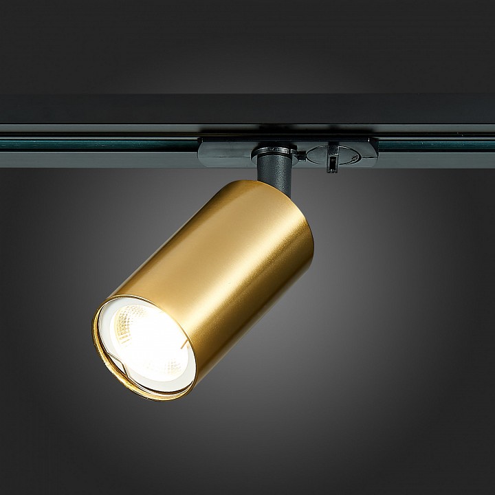 Светильник на штанге ST-Luce ST300 ST300.206.01