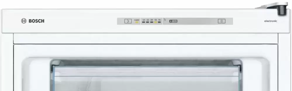 Морозильник Bosch GSN29VW20R