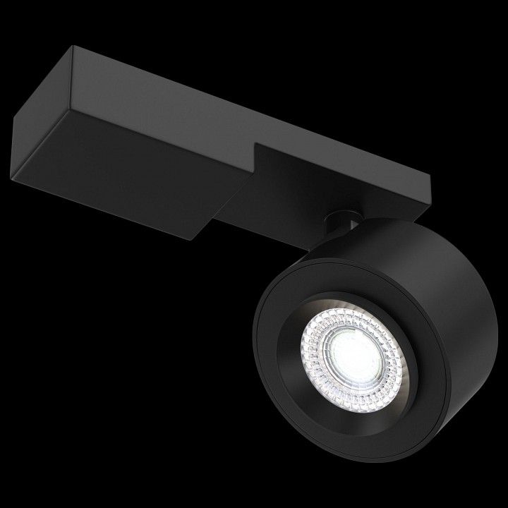 Светильник на штанге Maytoni Technical Treo C062CL-L12B4K