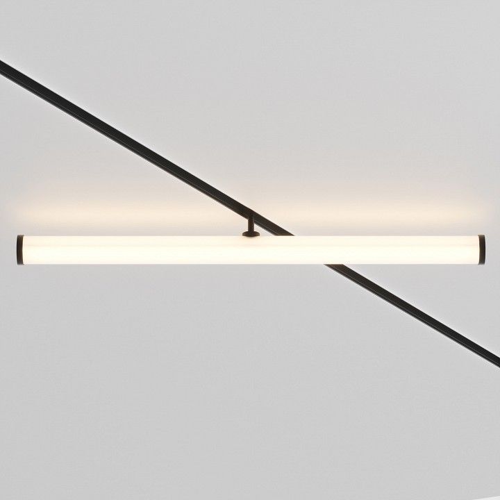 Светильник на штанге Maytoni Technical Ларк TR086-2-25W3K-B