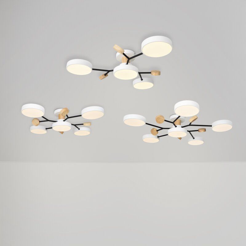Люстра на штанге Freya Crown FR6119CL-L48W