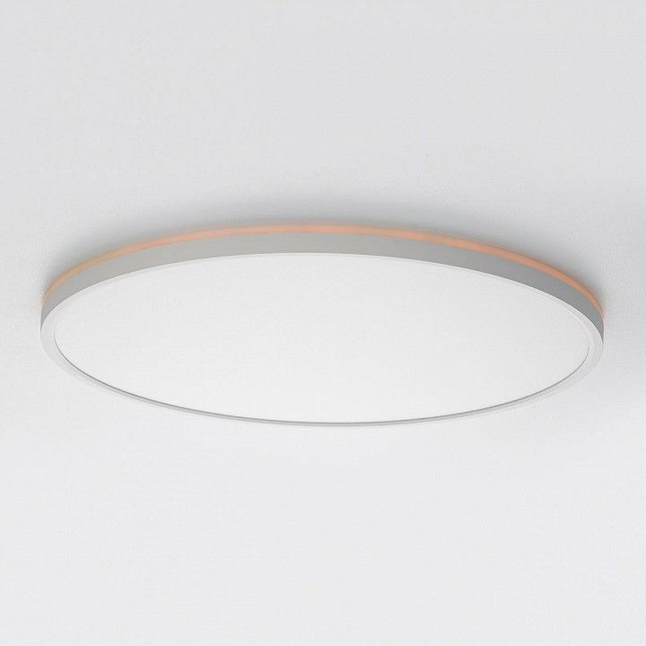 Накладной светильник Citilux NORMA CL749500