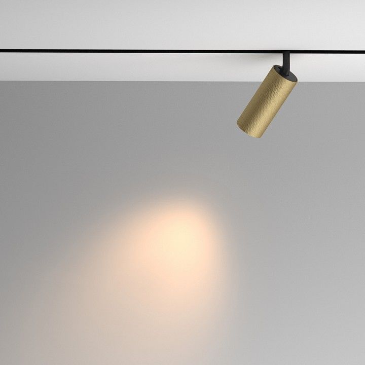 Светильник на штанге Maytoni Technical Мастер TR097-2-12W3K-M-BMG