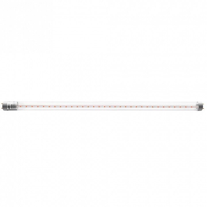 Лампа светодиодная Jazzway  G13 12Вт K PLED T8   900 Agro   12w CL