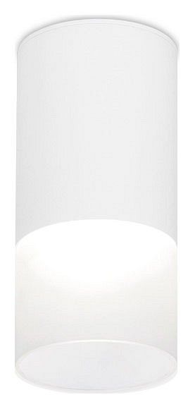 Накладной светильник Ambrella TN TN231