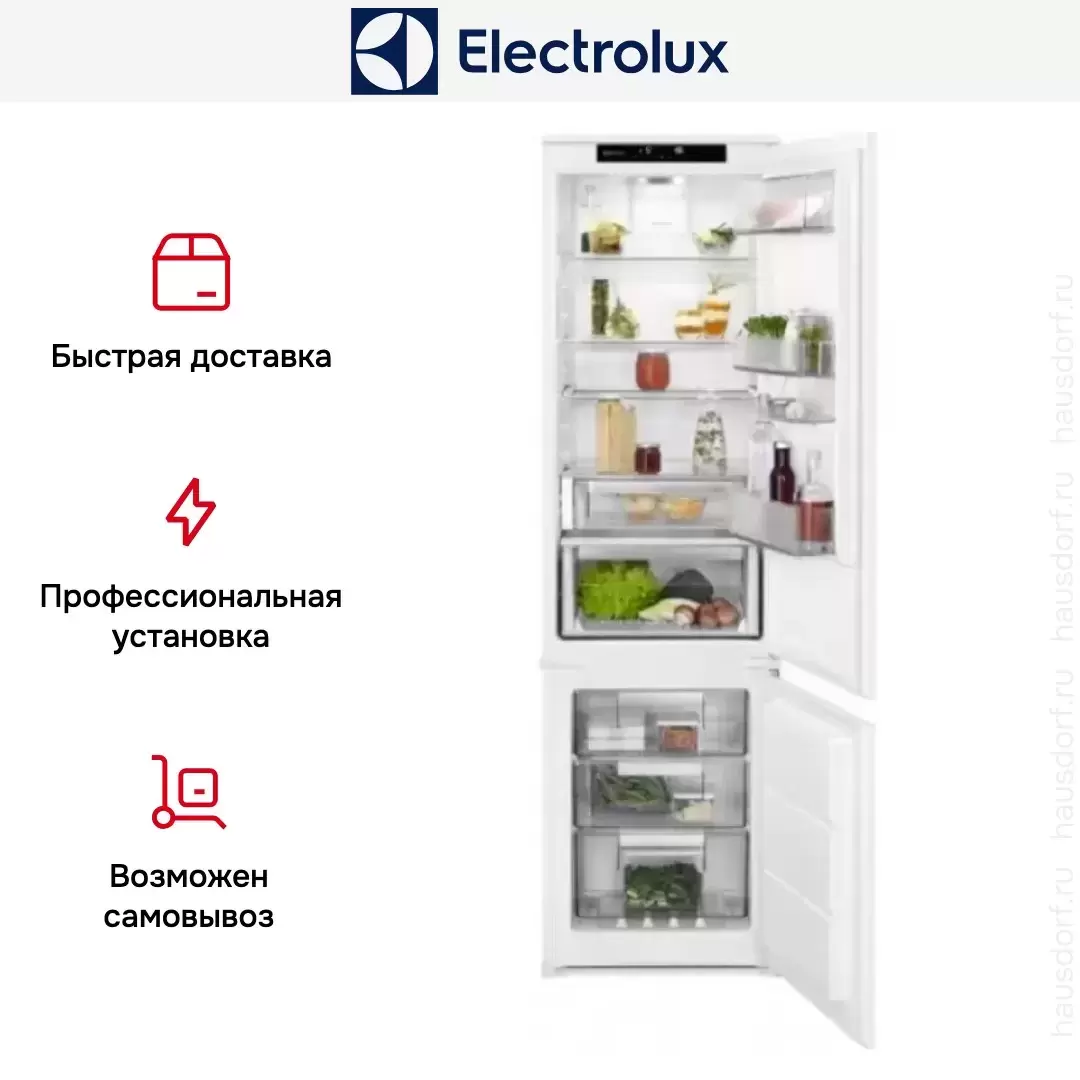 Встраиваемый холодильник Electrolux RNS9TE19S