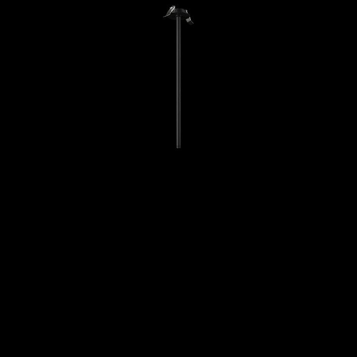 Встраиваемый светильник на штанге Loft it Cane 10359/500 Black