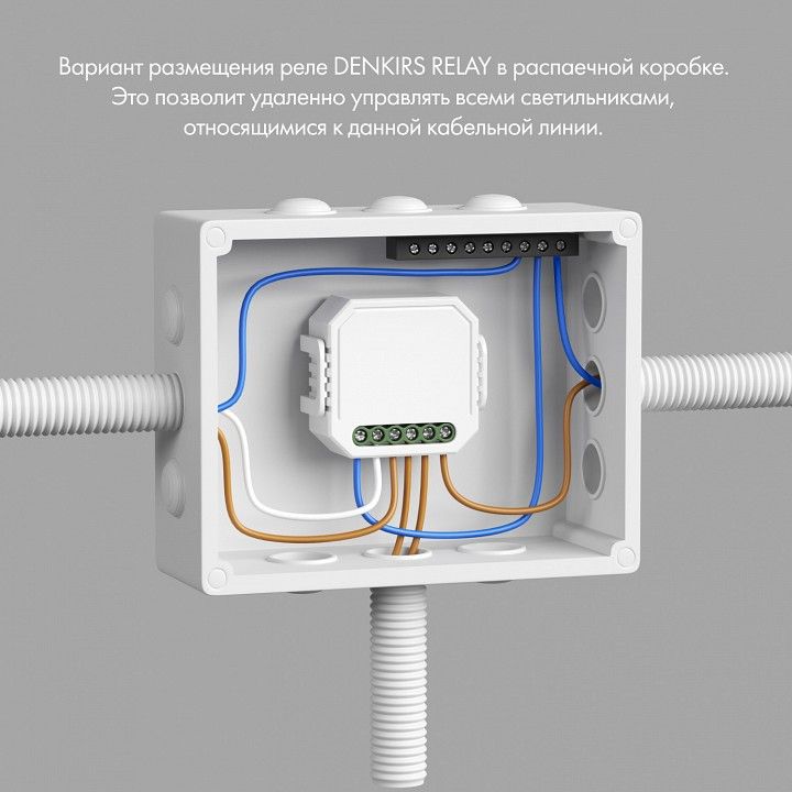 Контроллер-диммер Wi-Fi для смартфонов и планшетов Denkirs Relay RL1004-DM/1