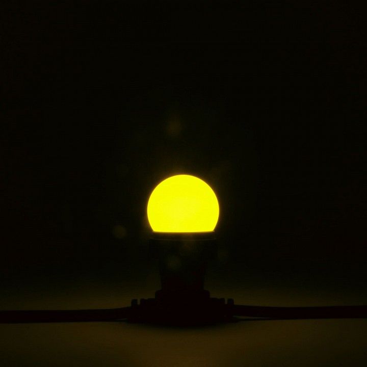 Лампа светодиодная PROFESSIONAL E27 220В 2Вт LAMP1-2Y