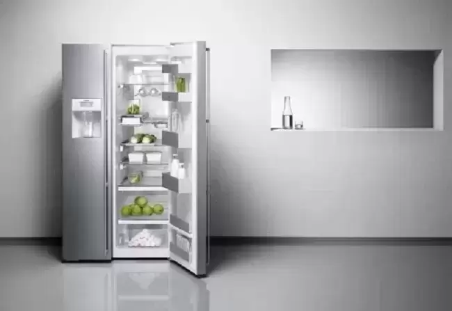 Холодильник Gaggenau RS 295-330