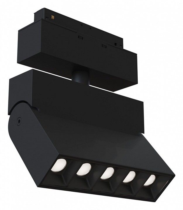 Светильник на штанге Maytoni Technical Points Rot TR015-2-10W4K-B