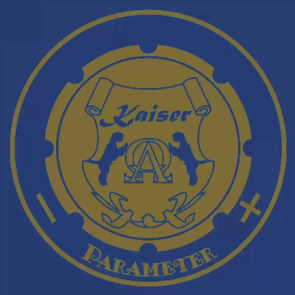Индукционная варочная поверхность Kaiser KCT 6723 FI BluBE