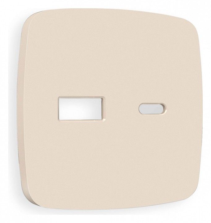 Накладка для розетки type A и C Ambrella Volt OMEGA OP3310