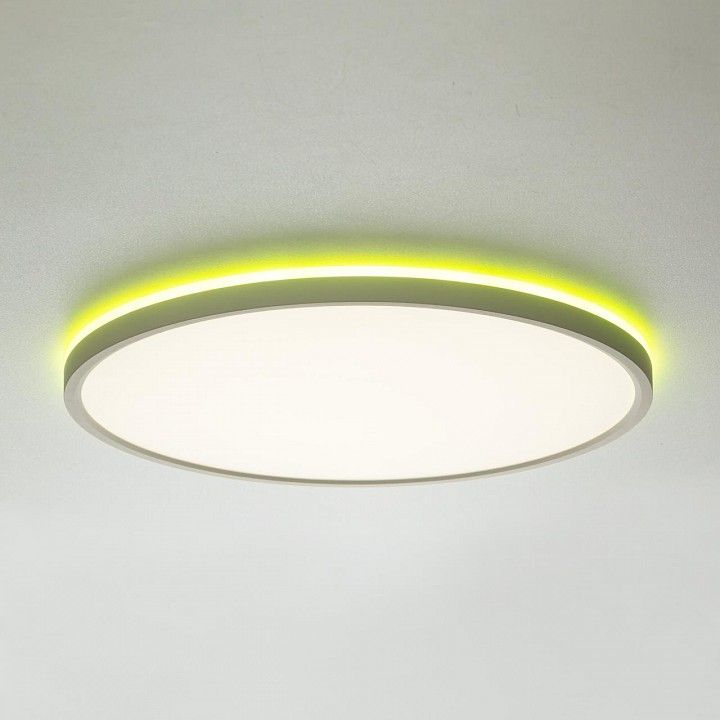 Накладной светильник Citilux NORMA CL749400