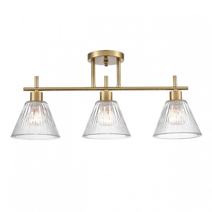 Светильник на штанге Lumion Vivian 8188/3C