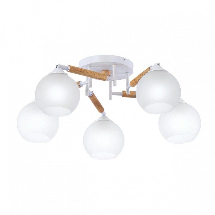 Потолочная люстра Citilux Tika CL133150