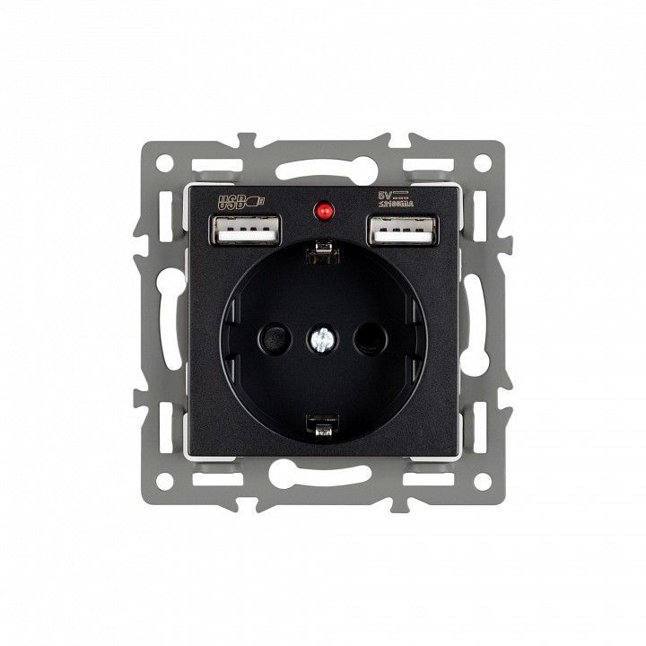 Розетка с заземлением и 2хUSB type A, без рамки Arlight SCT 043734