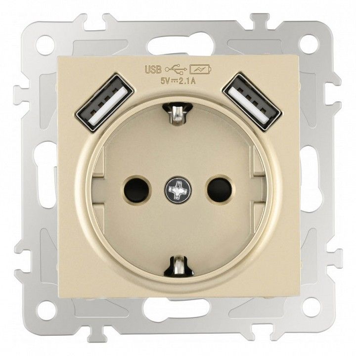 Розетка с заземлением и со шторкой и 2хUSB, без рамки Arte Milano am-206 206.47-1.shampan