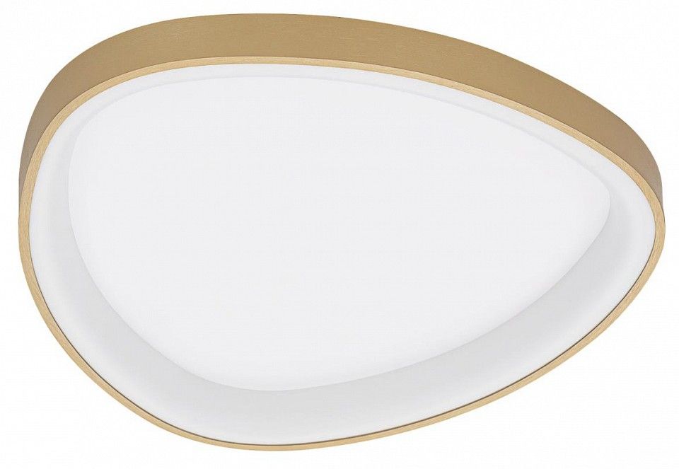 Накладной светильник Citilux GENKA SMART CL756A142