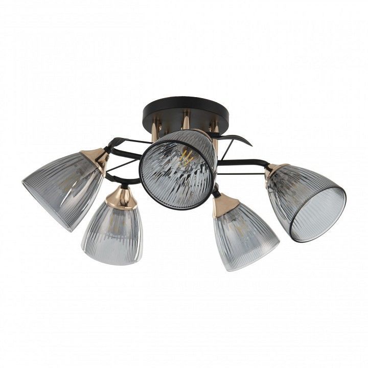 Потолочная люстра Arte Milano AMALFI-322610 322610/5 BK+FG