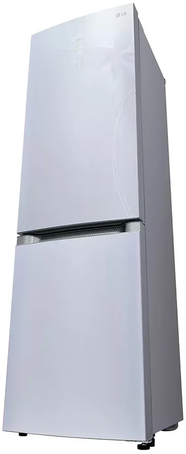 Холодильник LG GA-B 489 TGDF