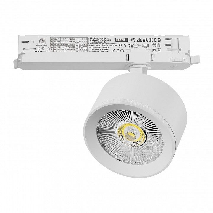 Светильник на штанге Lightstar Alta Pro A5546DALI
