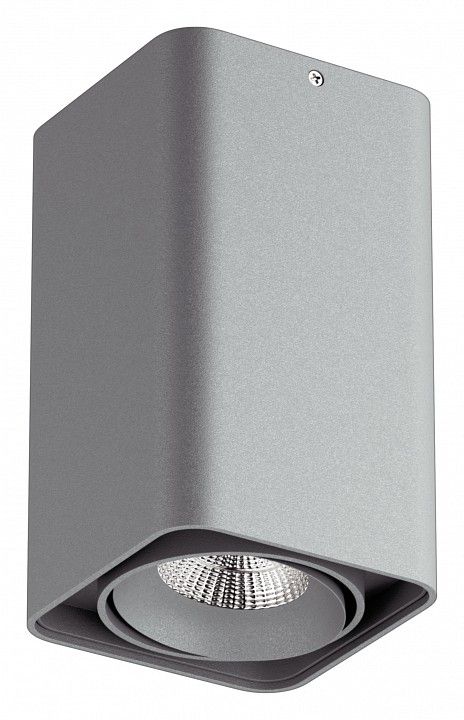 Накладной светильник Lightstar Monocco 052139