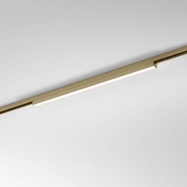 Накладной светильник Elektrostandard  85526/01