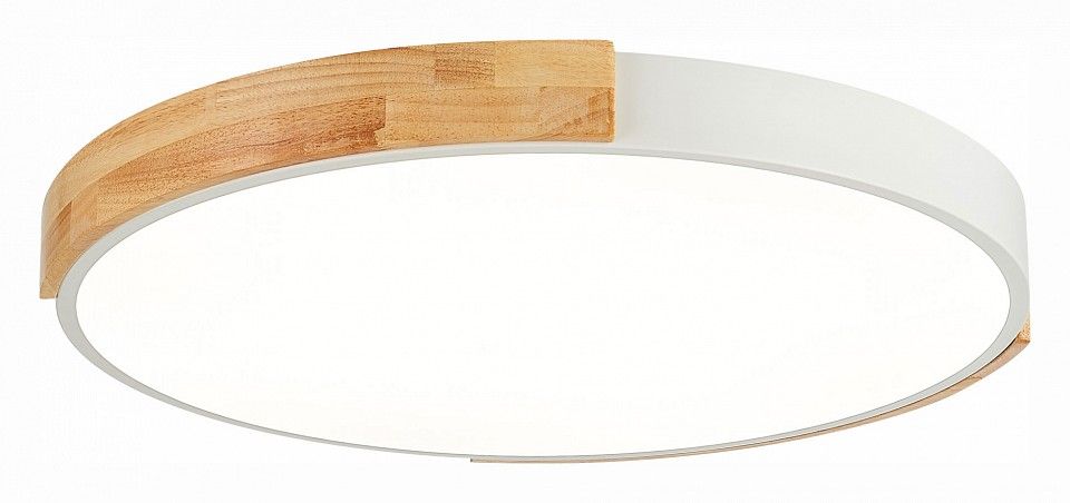 Накладной светильник EVOLUCE Delia SLE201352-01