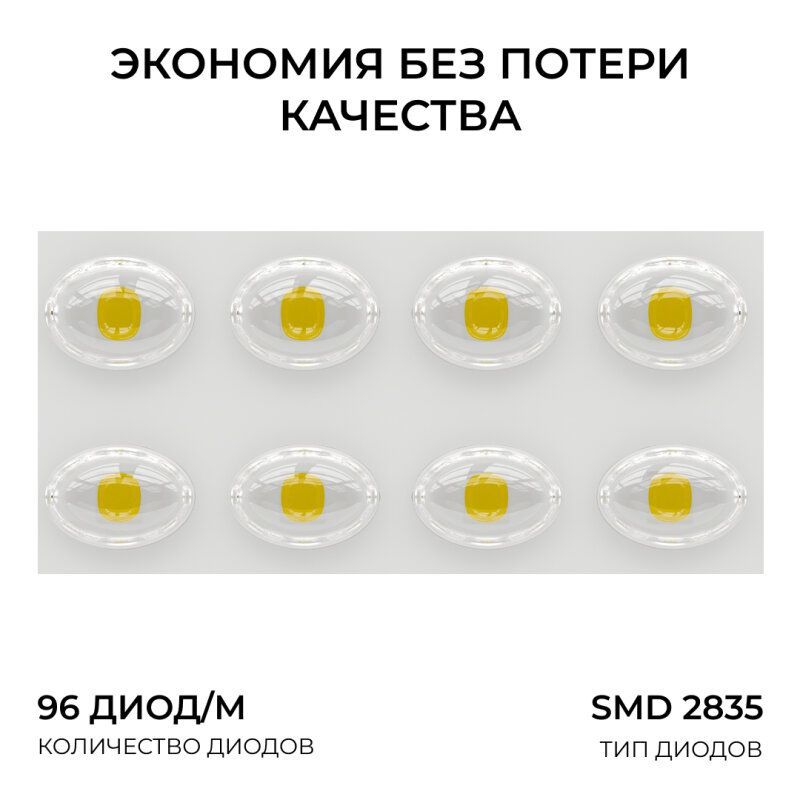 Настенно-потолочный прожектор Apeyron Electrics  05-61
