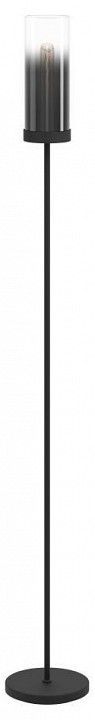 Торшер Eglo TOOTHILL 44004