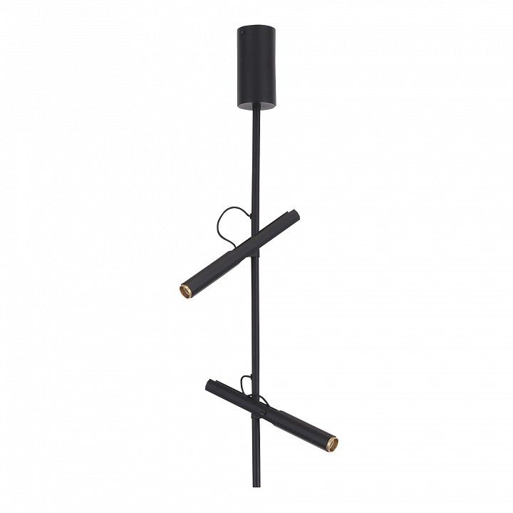 Светильник на штанге ST-Luce LILT SL6210.403.02