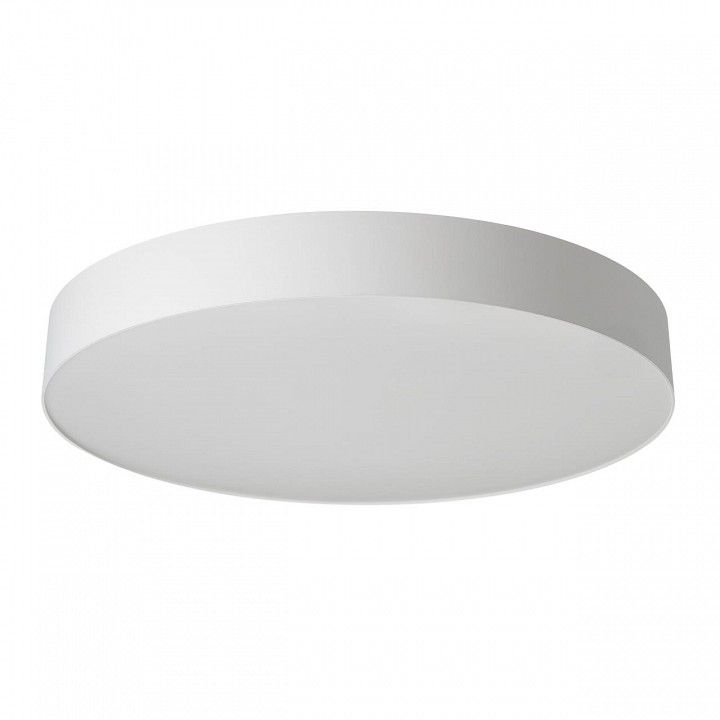 Накладной светильник Citilux BART CL755490