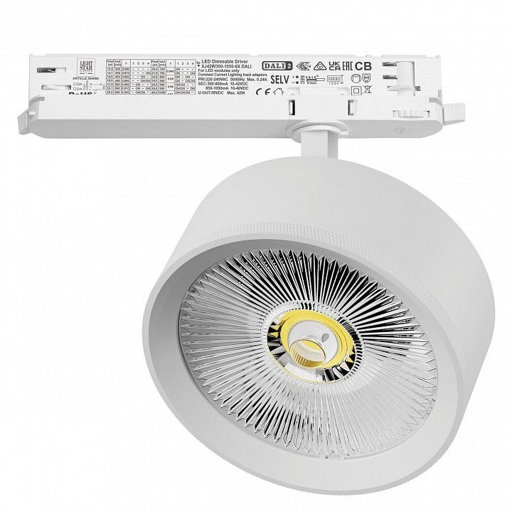 Светильник на штанге Lightstar Alta Pro A5746DALI