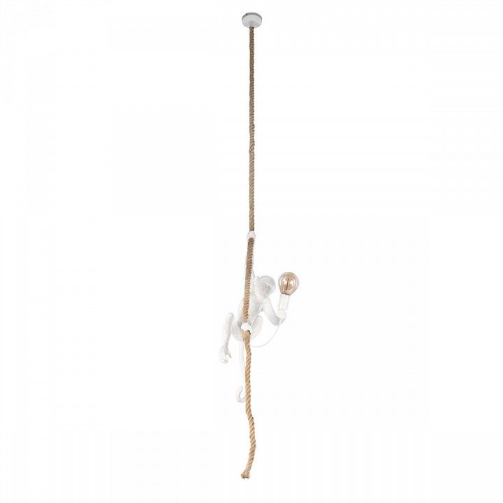Подвесной светильник Loft it Monkey 10314P