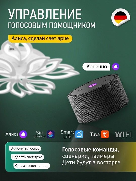 Потолочная люстра Natali Kovaltseva  LED SMART 84021