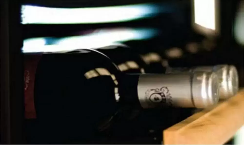 Винный шкаф IP NCK 501 CF