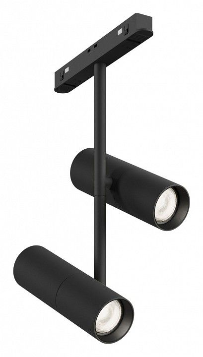 Светильник на штанге Maytoni Technical Элти дуэт TR005-2-2X12W4K-B
