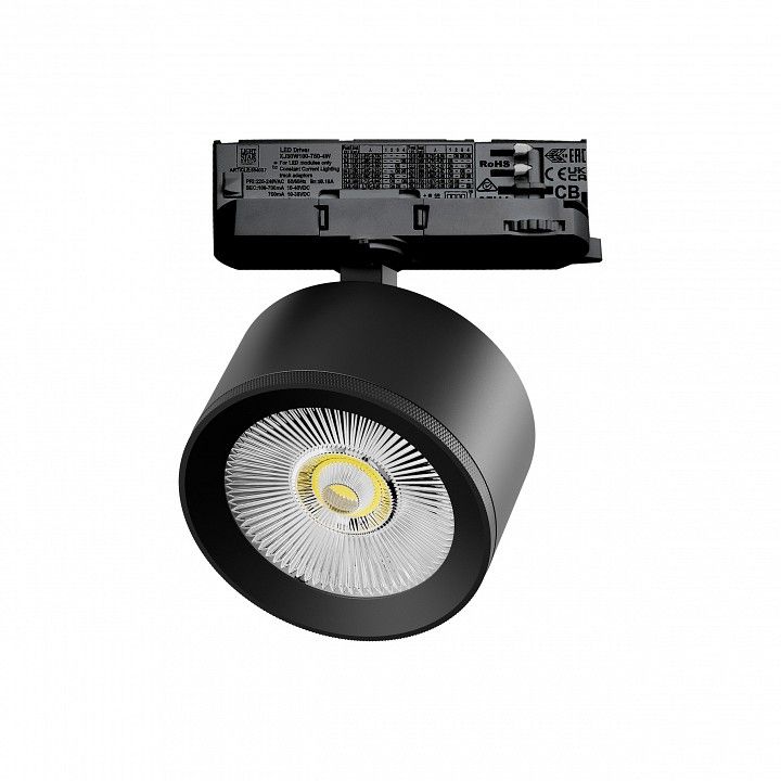 Светильник на штанге Lightstar Alta Pro A5537QT