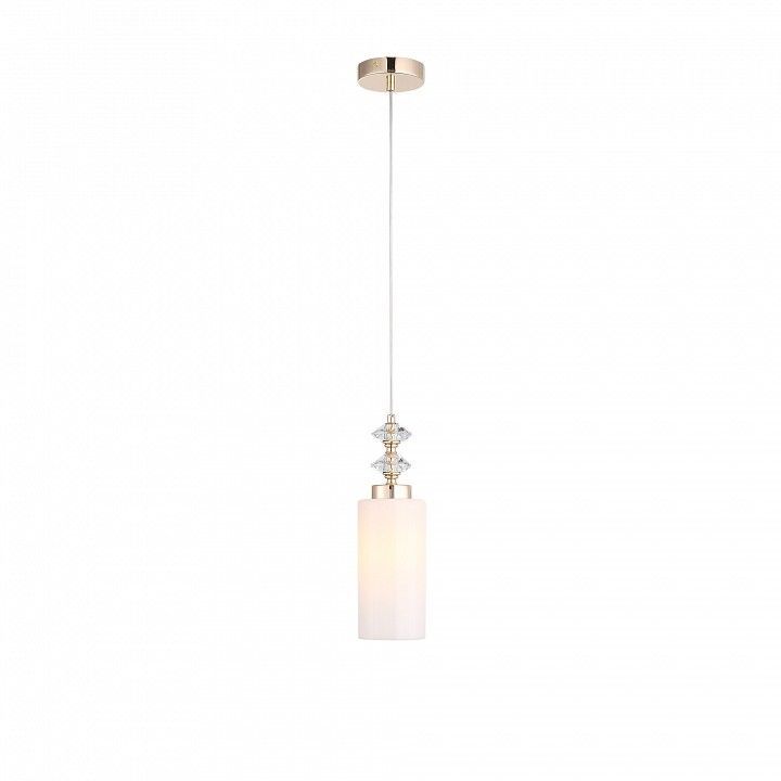Подвесной светильник ST-Luce Elegra SL1402.253.01