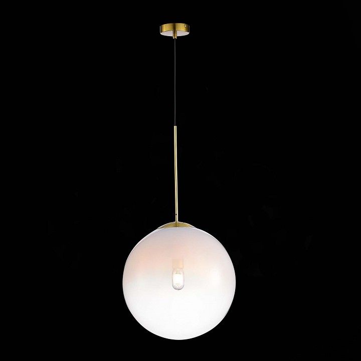 Подвесной светильник ST-Luce Cassius SL1190.223.01