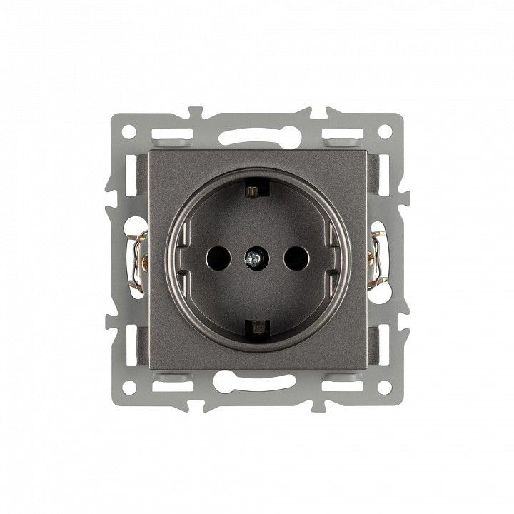 Розетка с заземлением, без рамки Arlight SCT 043732