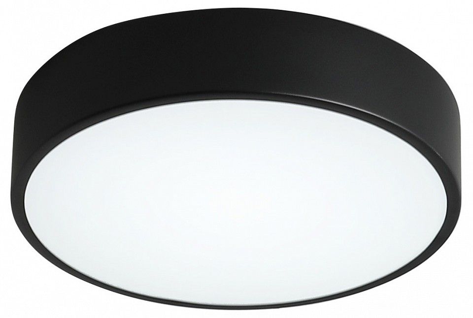 Накладной светильник Zortes Tortty ZRS.02563.36